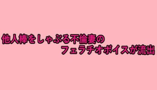 他人棒をしゃぶる不倫妻のフェラチオボイスが流出