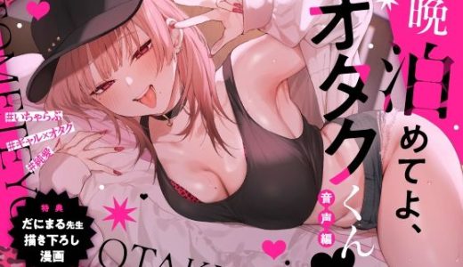 一晩泊めてよ、オタクくん 音声編