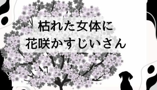 大人のためのおとぎ話 〜枯れた女体に花咲かすじいさん〜
