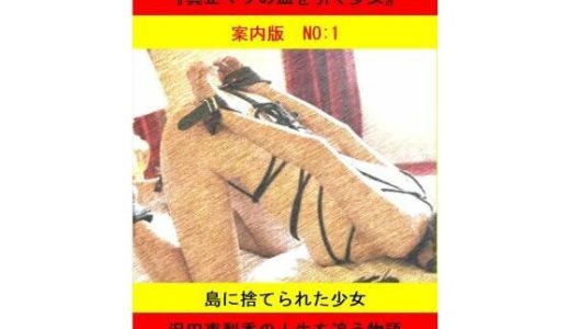 被虐の少女  案内版1