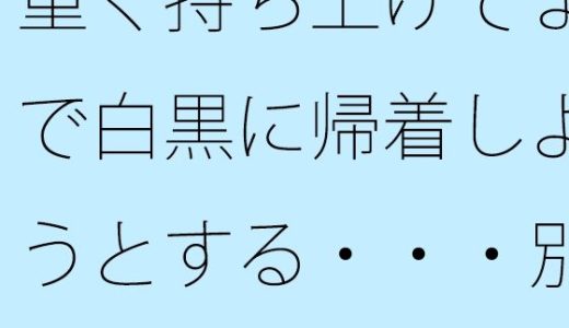 重く持ち上げてまで白黒に帰着しようとする・・・別のところに要点はあることを・・