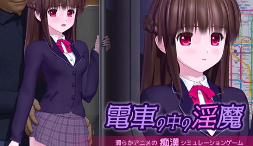 電車の中の淫魔