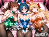 キセカエオナペット -美少女戦士セーラ◯ムーン篇-
