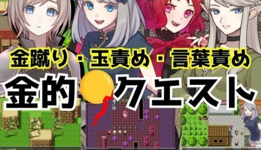 金的クエスト -金蹴り・玉責めRPG-