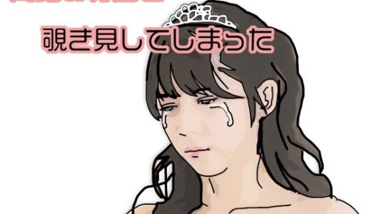 間男の行為を覗き見してしまった