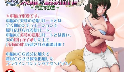 とある夫婦の返済計画ー夫婦の絆篇ー