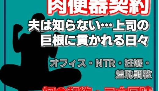 肉便器再び 〜私が奴●に堕ちるまで〜