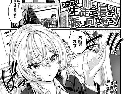 むっつり生徒会長を振り向かせろ！
